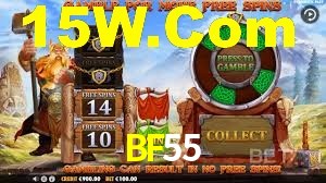 Tournaments BF55