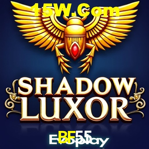 Login Seguro BF55